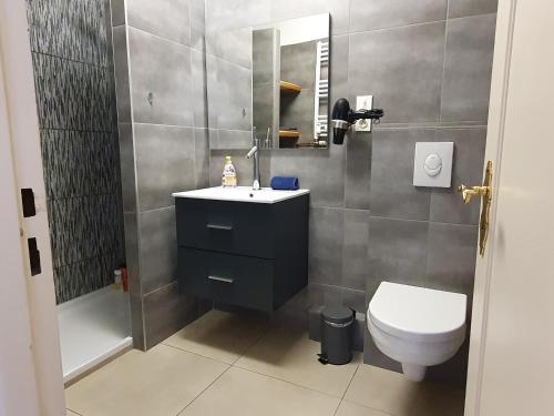 La salle de bains est pourvue d'un lavabo, de toilettes et d'une douche. dans l'établissement GRENIER DES CIGOGNES, à Sélestat