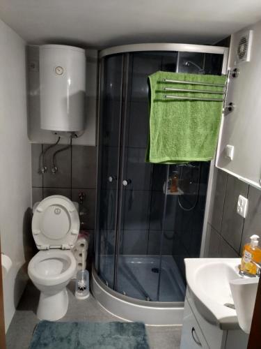 uma casa de banho com um chuveiro, um WC e um lavatório. em Domek w Bieńkówce 