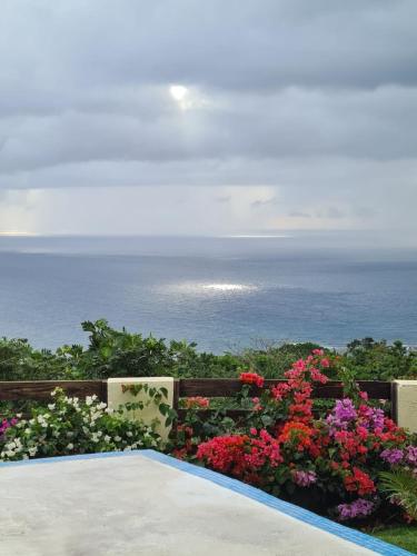 Breezy Castle Jamaica – Photos 2