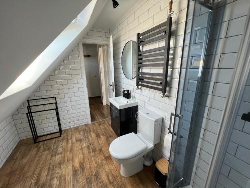 a bathroom with a toilet and a sink at Chatka Rybaka - wygodny dom z podwórkiem in Łeba