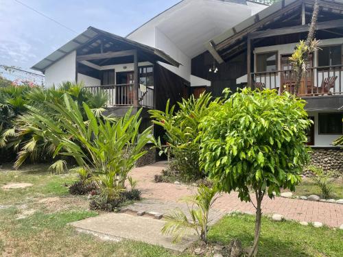 a house with a bunch of plants in front of it at Perla Negra Beachfront in Puerto Viejo