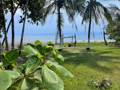 a park on the beach with palm trees and a swing at Perla Negra Beachfront in Puerto Viejo