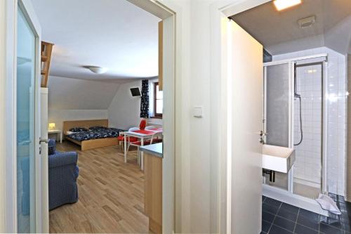een kleine kamer met een badkamer en een slaapkamer bij Apartmány Fox in Boží Dar