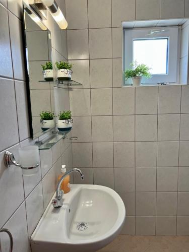 アルベナにあるVilla MAXIMILIYANのバスルーム(シンク、鏡、鉢植えの植物付)