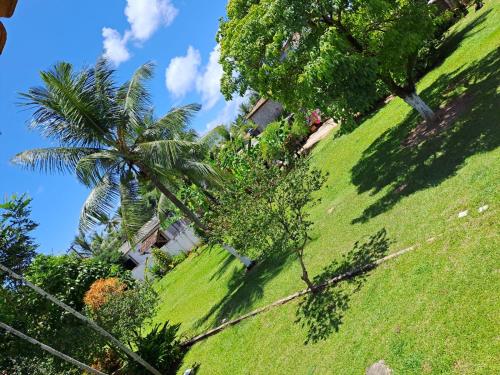 een grasheuvel met palmbomen en een huis bij Pousada Éden Rio in Ilhéus