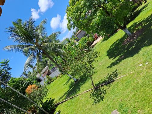 a grassy hill with palm trees and a house at Pousada Éden Rio in Ilhéus