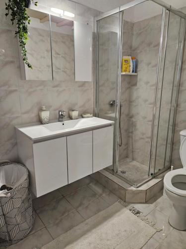a bathroom with a shower and a sink and a toilet at Cosy apartment by the sea in Nea Potidaea