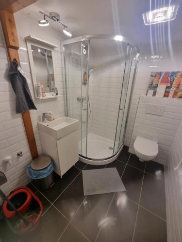 a bathroom with a shower and a toilet and a sink at Pipa utca 6 in Budapest