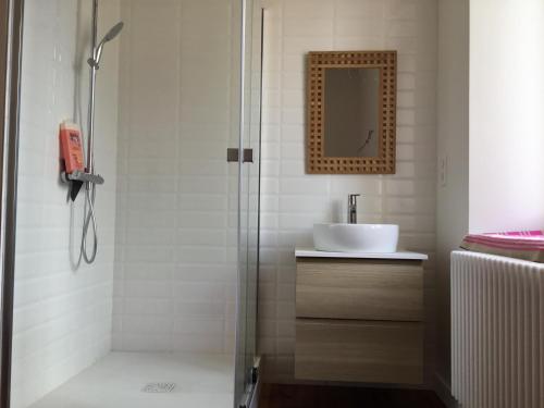een badkamer met een douche en een wastafel bij Loft en duplex avec terrasse Halles in Biarritz