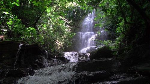 Lado Natura – Photos 2