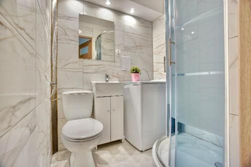 a bathroom with a toilet and a sink and a shower at APARTAMENT SOLINA in Solina