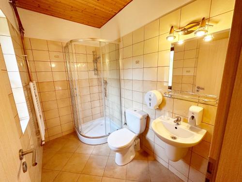 a bathroom with a toilet and a sink and a shower at Penzion Peklo in Jeseník