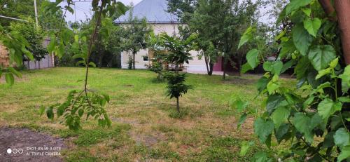 a yard with trees and a building in the background at Qabala Villa House Samir in Gabala