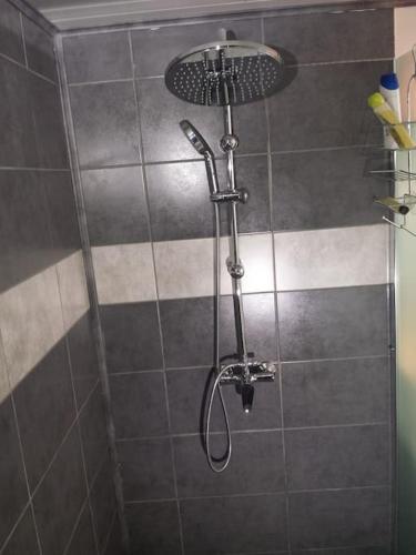 une douche avec pommeau de douche dans une salle de bain dans l'établissement Location provence ventoux sault, à Sault