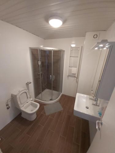 a bathroom with a shower and a toilet and a sink at Centar Crnjanski in Jagodina