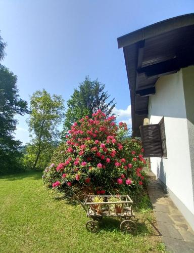 Gallery image of Ferienhaus Hölzl in Trog