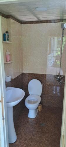 La salle de bains est pourvue de toilettes et d'un lavabo. dans l'établissement Guest house Lailashi, à Surmushi