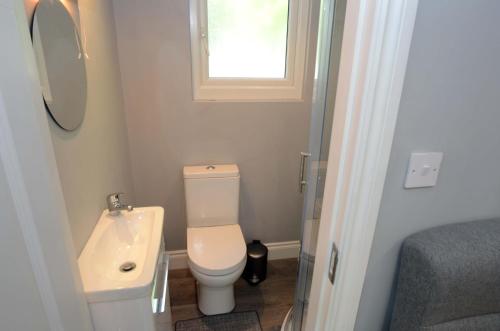 a small bathroom with a toilet and a sink at Tawny Lodge in Westport