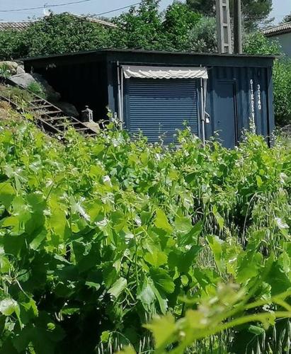 a building with a door in a field of bushes at Conteneur avec spa privé face aux vignes in Massillargues-Attuech