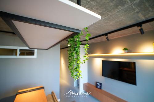 a plant hanging from the ceiling of a living room at Lindo Flat no Urban 750 in Tambaú