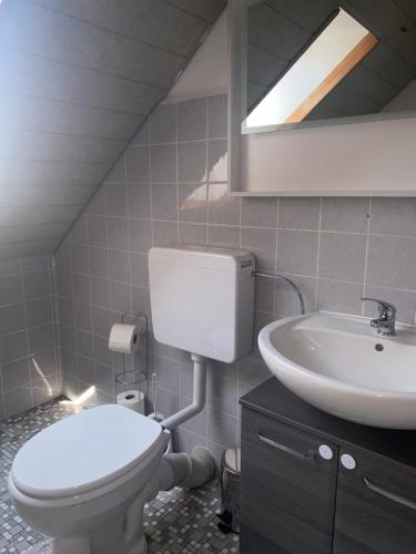 a bathroom with a white toilet and a sink at 2- Zimmer Wohnung in Lehrte