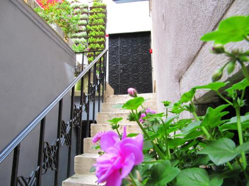 a set of stairs with pink flowers in front of a door at Borelli Palace & Borelli Blue in Zadar