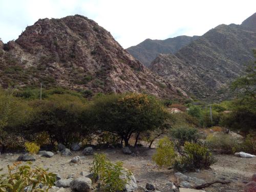 a view of a mountain with trees and rocks at Crisol. in Cafayate
