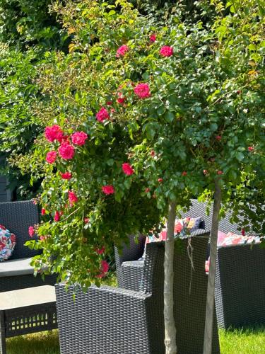 La Glycine B&B – Photos 2