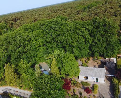 una vista aérea de una casa rodeada de árboles en Boshuis Luyksgestel 2-6 personen, veel privacy!, en Luyksgestel