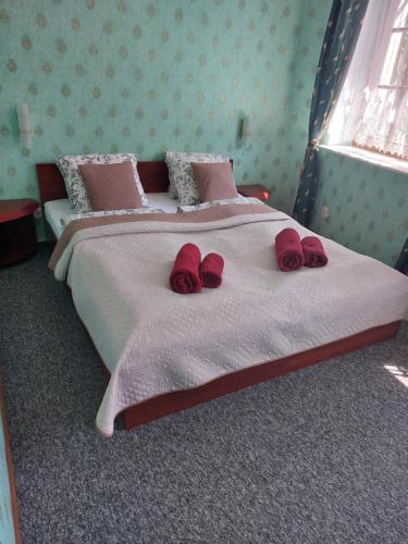 a bedroom with a bed with red roses on it at Pensjonat Oleńka in Ustka