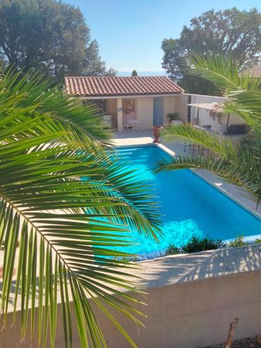 une piscine devant une maison avec un palmier dans l'établissement Gite Au fond du jardin, à Saint-Saturnin-lès-Avignon