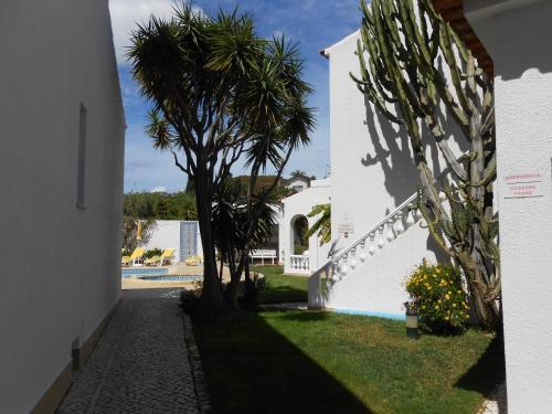 Κήπος έξω από το Dona Ana Garden