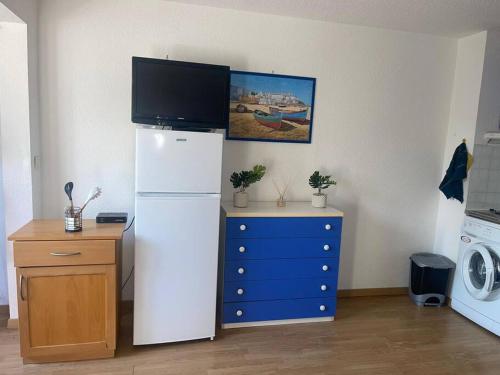 Il dispose d'une cuisine équipée d'un réfrigérateur et d'une télévision. dans l'établissement Magnifique studio en bord de mer, à Calvi