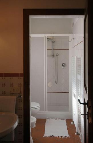 a bathroom with a shower and a toilet at VILLA VITELLINO in Castiglione del Lago