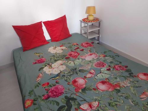 Large cozy studio in Castellane /Gorges du Verdon