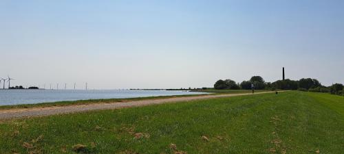 a grassy field next to a body of water at Bungalow Plattedijk 25-34 in Lemmer