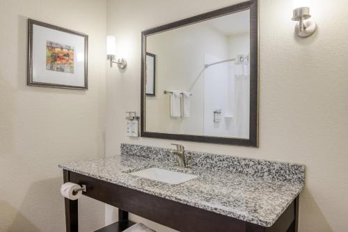 a bathroom with a sink and a mirror at Holiday Inn Express and Suites Edwardsville, an IHG Hotel in Edwardsville