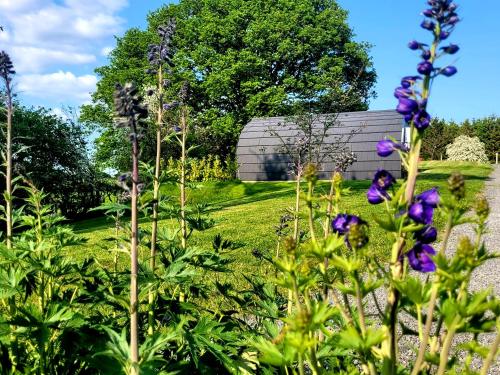 a garden with purple flowers and a building in the background at Odli Glamping - Deri in Welshpool
