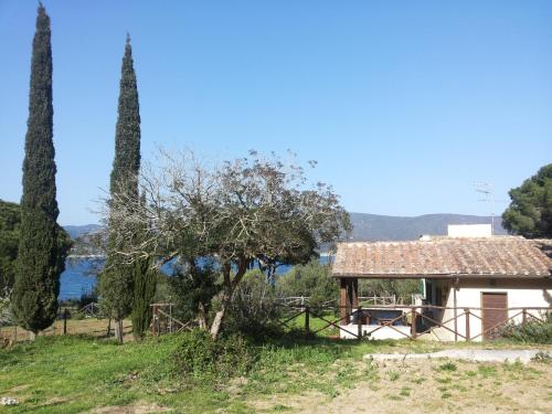 Paesaggio naturale nelle vicinanze dell'appartamento