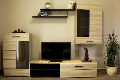 a living room with a tv on a wooden entertainment center at Apartment Petrović in Ulcinj