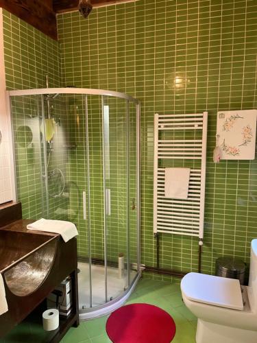 a green tiled bathroom with a shower and a toilet at SANABRIA - Palacio de La Cuesta in Palacios de Sanabria