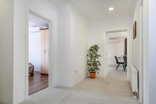 a hallway with white walls and a potted plant at Apartment Ivana in Šibenik