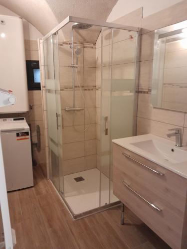 La salle de bains est pourvue d'une douche et d'un lavabo. dans l'établissement La Remise de Francillon, à Francillon-sur-Roubion