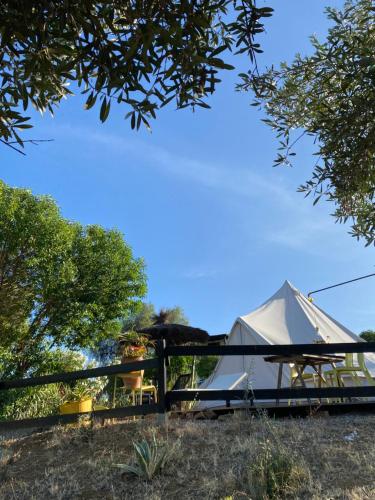 a tent is set up on a hill with trees at Glamping Bed and Breakfast Finca Alegria de la Vida in Pizarra