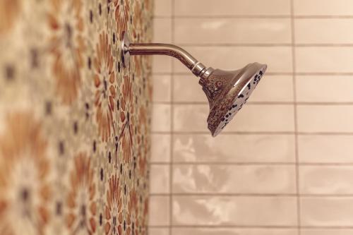 a shower head hanging on a wall at Lily Hall in Pensacola