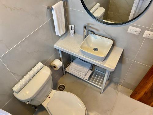 La salle de bains est pourvue de toilettes, d'un lavabo et d'un miroir. dans l'établissement Hotel El Pedregal, à Matehuala