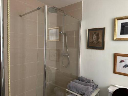 um chuveiro com uma porta de vidro na casa de banho em New luxury self-contained studio em South Cadbury