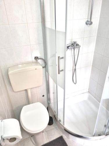 a bathroom with a toilet and a shower at House Lopica in Senj