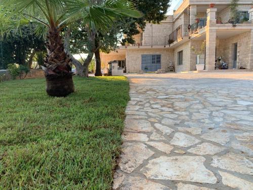 a palm tree in the grass next to a building at oasi di pace fasano BIS in Fasano