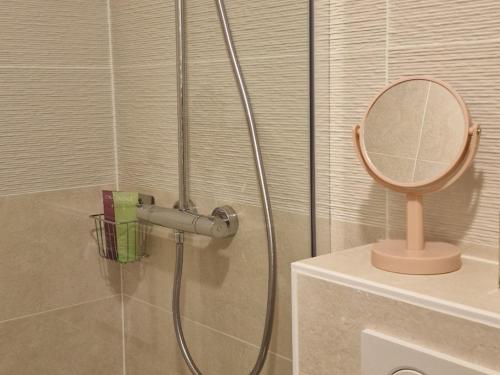La salle de bains est pourvue d'une douche et d'un miroir. dans l'établissement Boulevard du Soleil, à Bormes-les-Mimosas